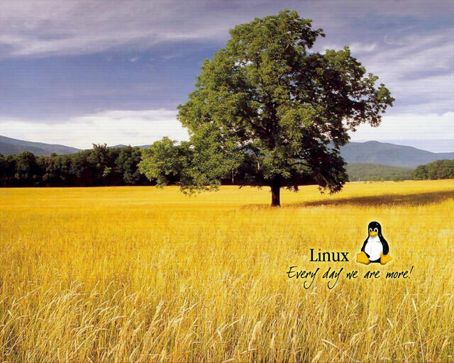 linux_tree_every_day.jpg