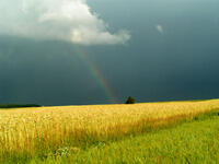 rainbow2OPT.jpg